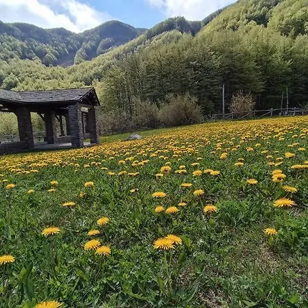 Casa Dani - Parco Cento Laghi *